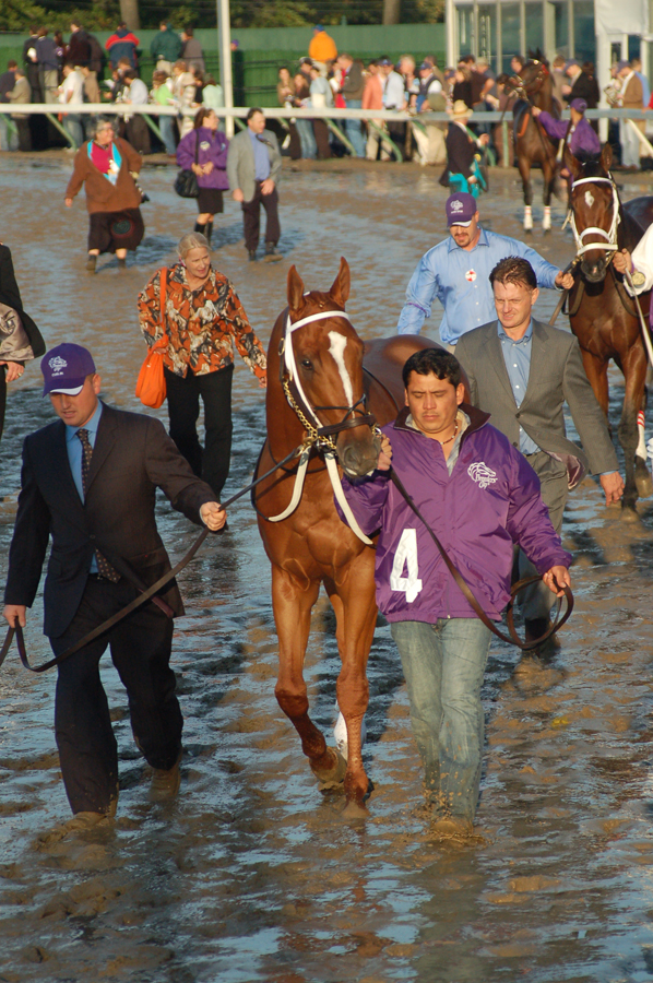 Curlin