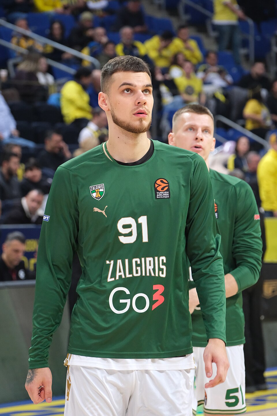 D. Sirvydis