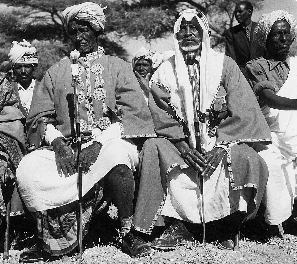 Dahir Hasan Abdi