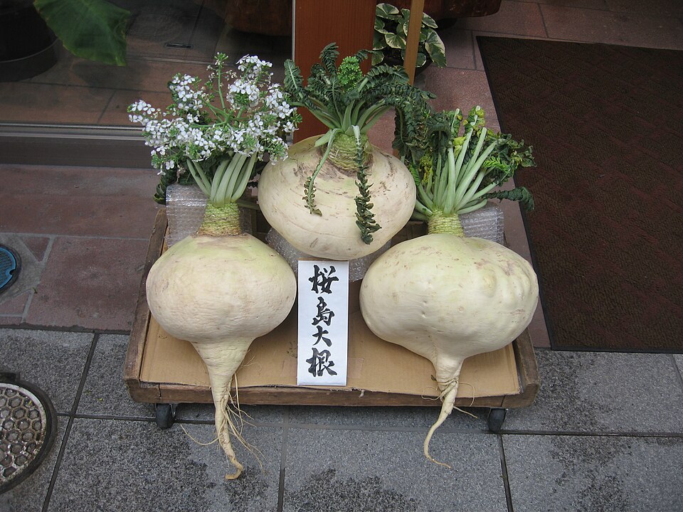 Daikon Huang