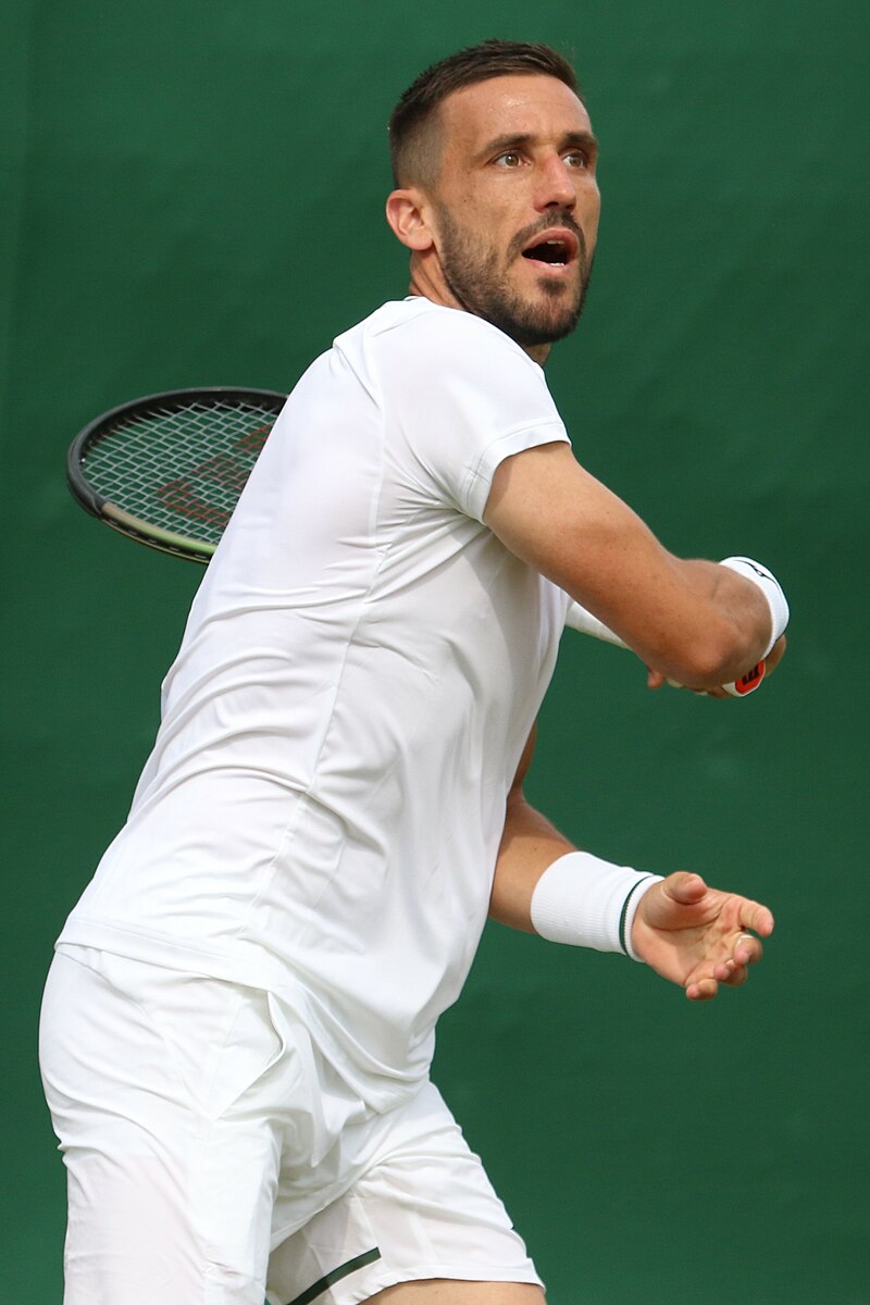 Damir Dzumhur