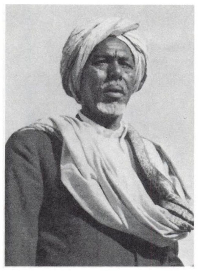 Dan Madar