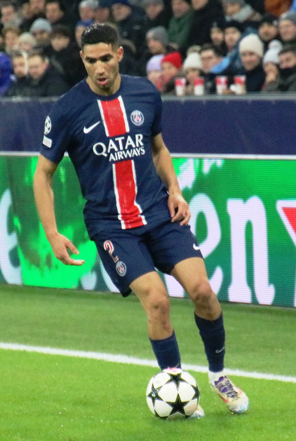 Dani Vivien