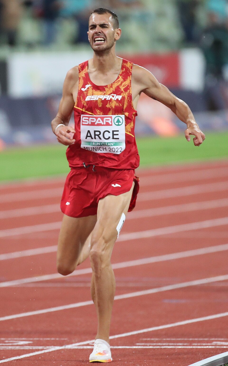 Daniel Arce