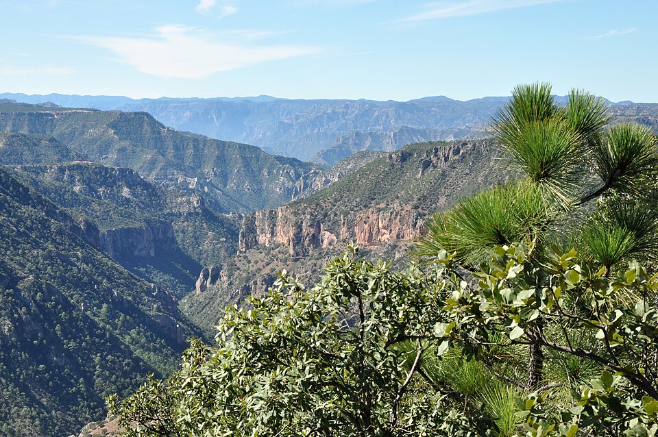 Daniel Murguía Lardizabal