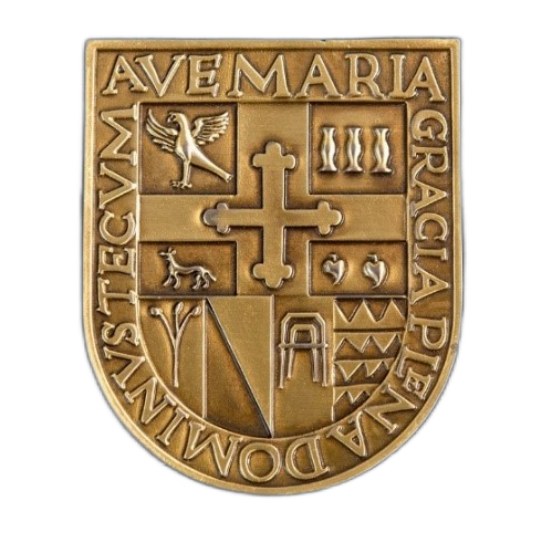 Daniel Vergara Llerena