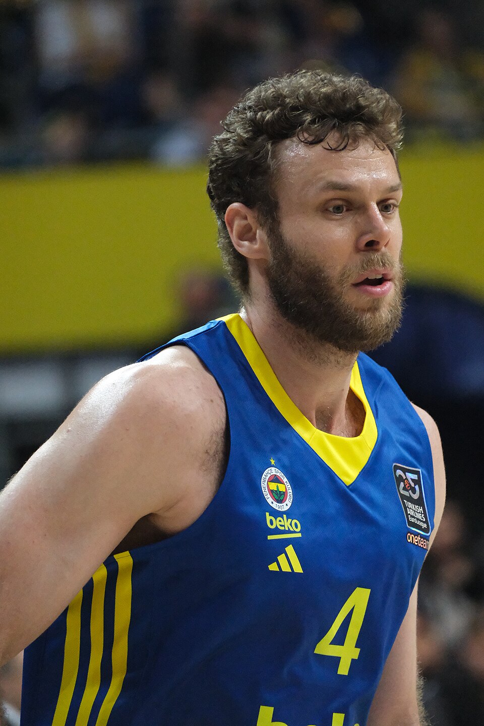 Daniele Baiesi