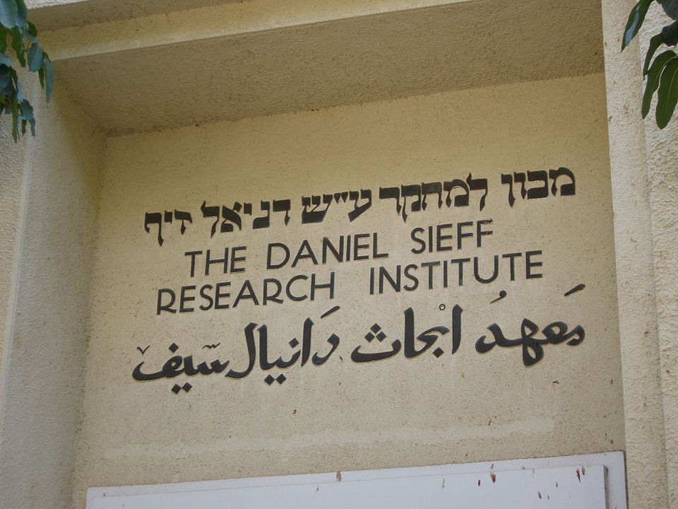 Daniella Raz Weinreb