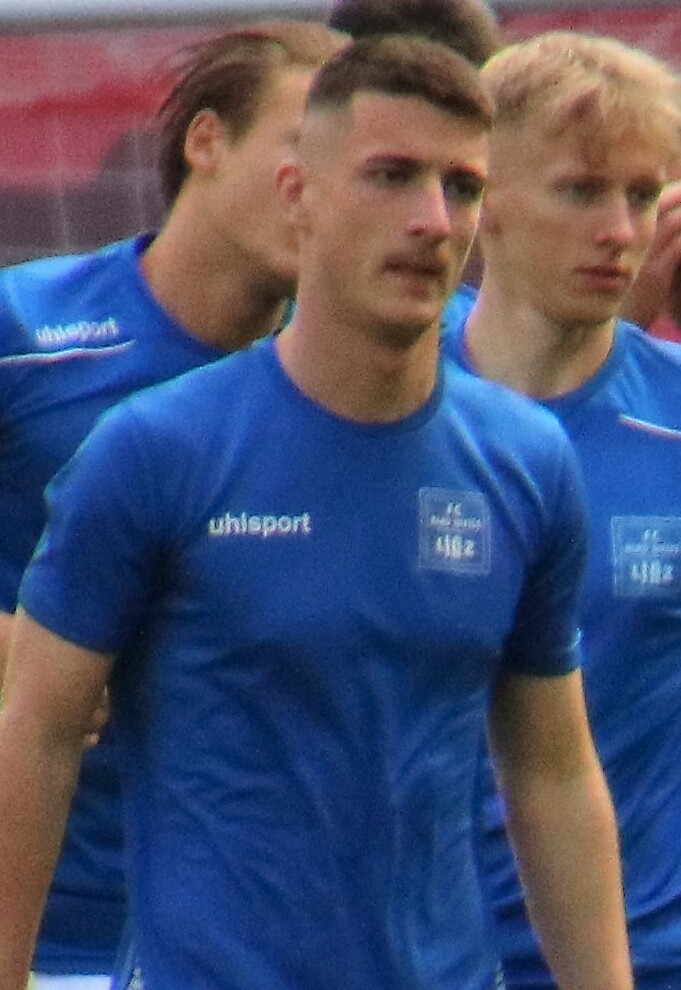 Danilo Mitrović