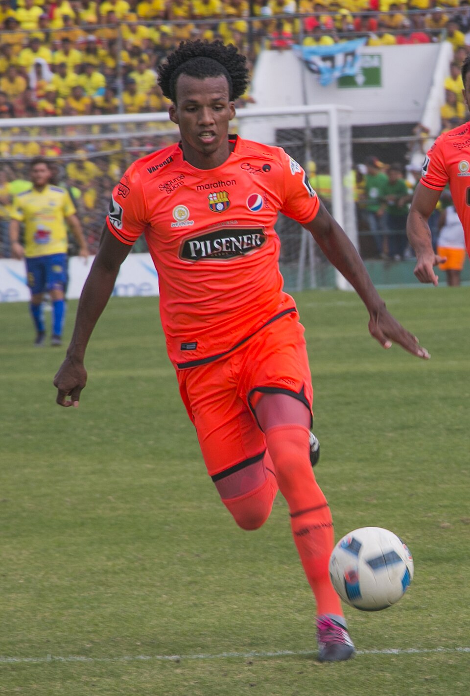 Darío Aimar