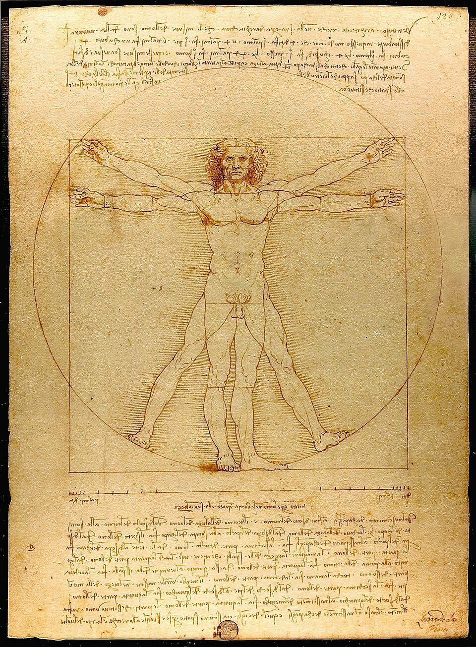 Dario Trevisan