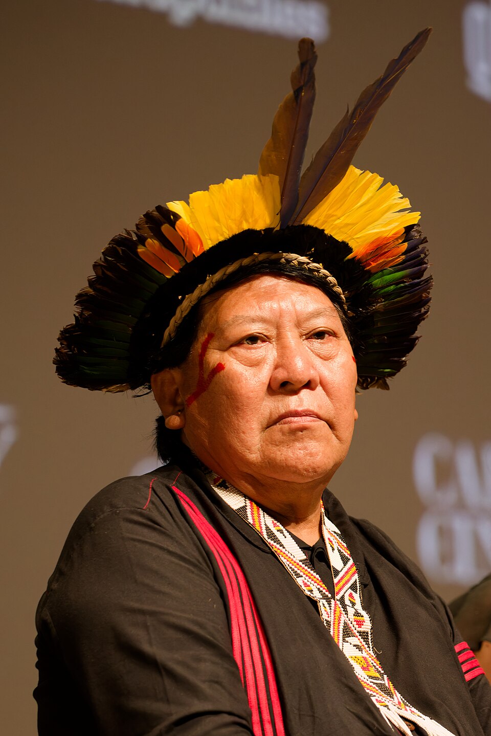 Davi Kopenawa Yanomami