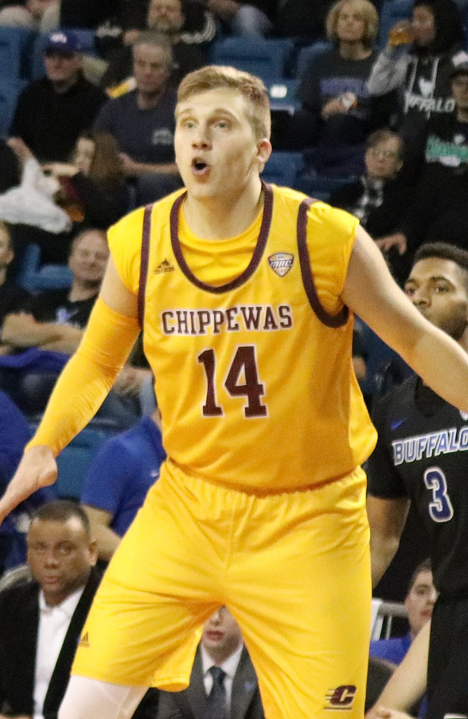 David DiLeo