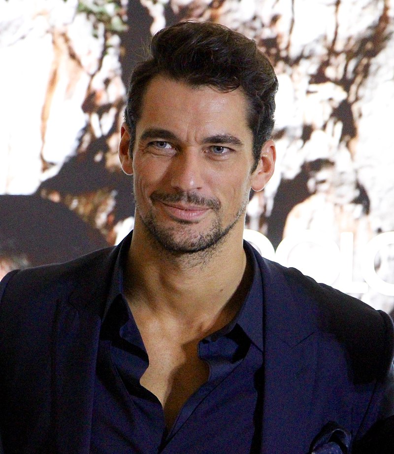 David Gandy