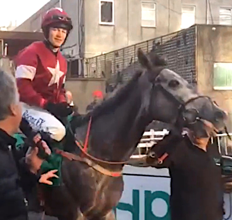 David Mullins