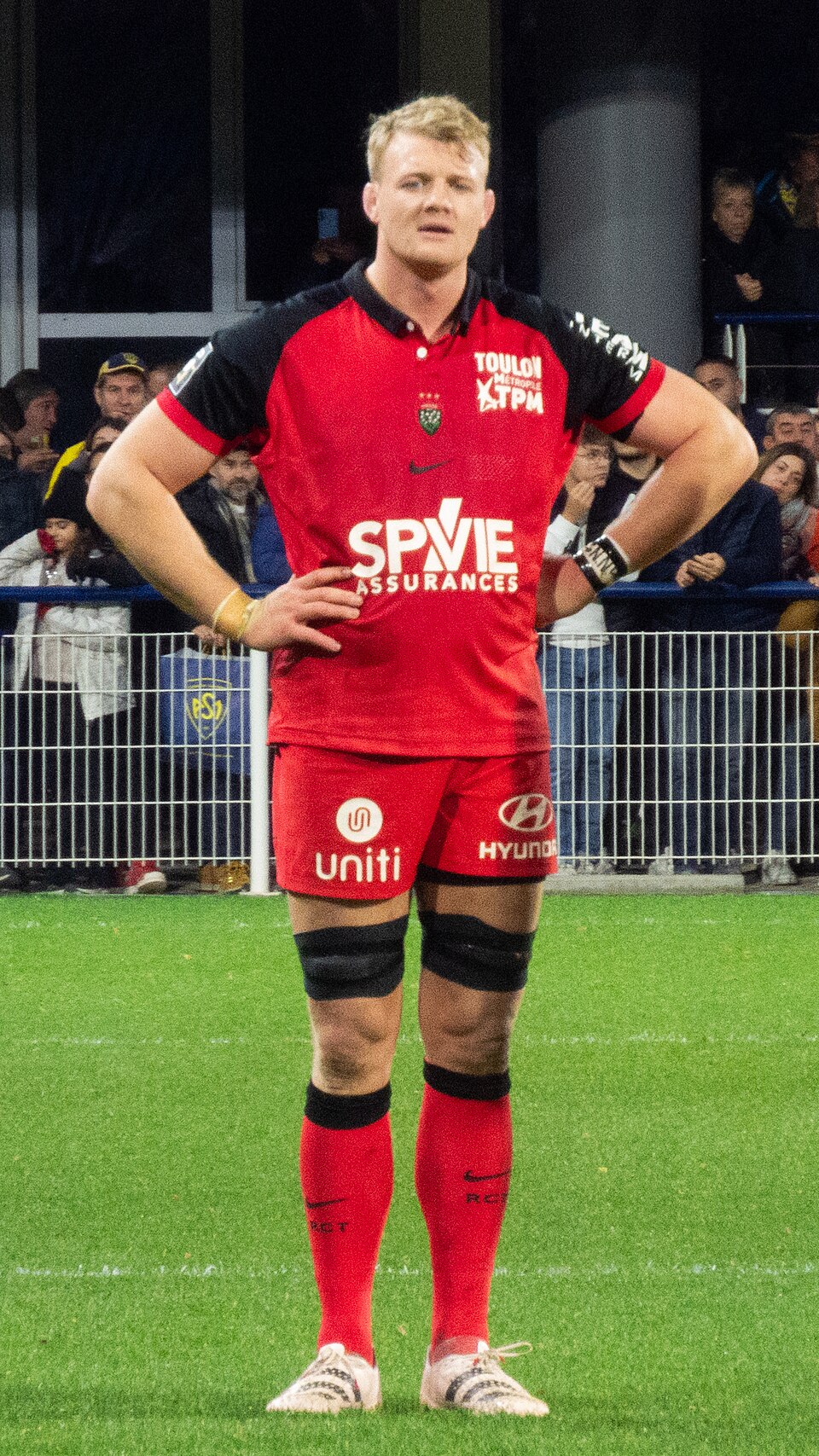 David Ribbans