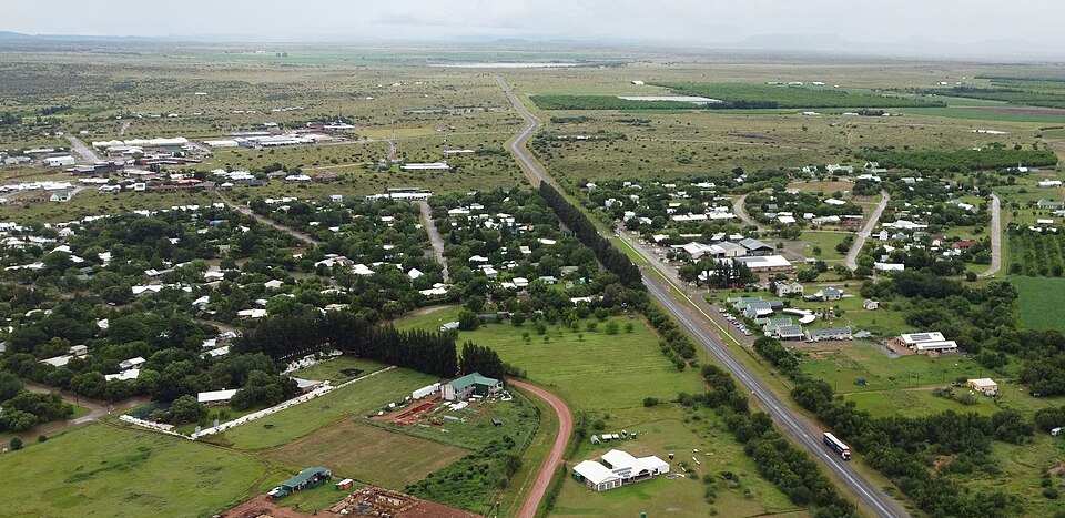 Dawie Roodt