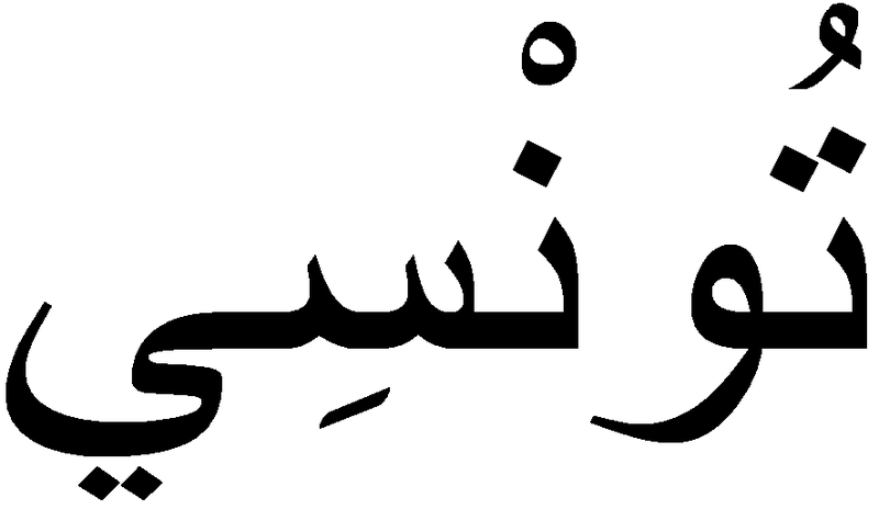 Dhia Bousselmi