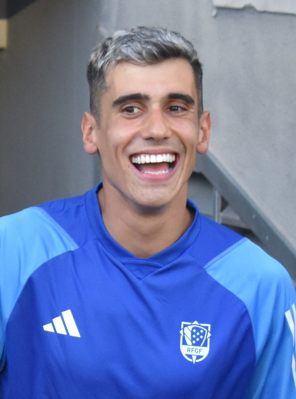 Diego Villares