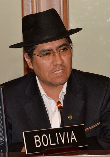 Diego Vladimir Campero