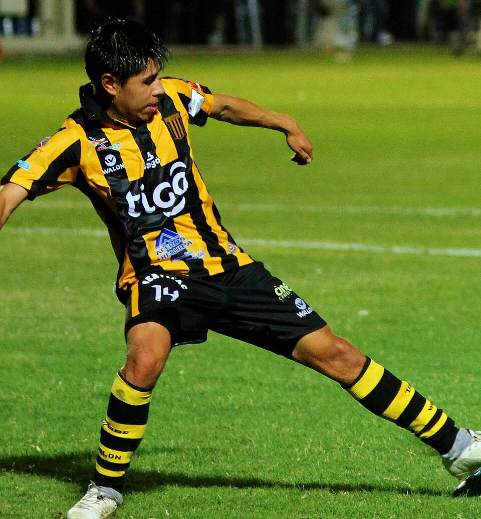 Diego Wayar