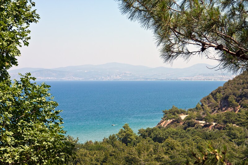 Dilek G.