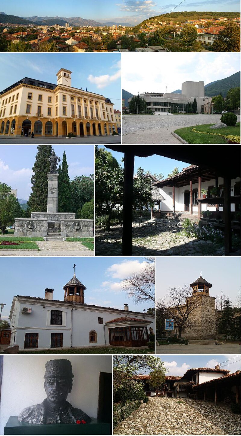Dimitar Hadzhi-Dinev