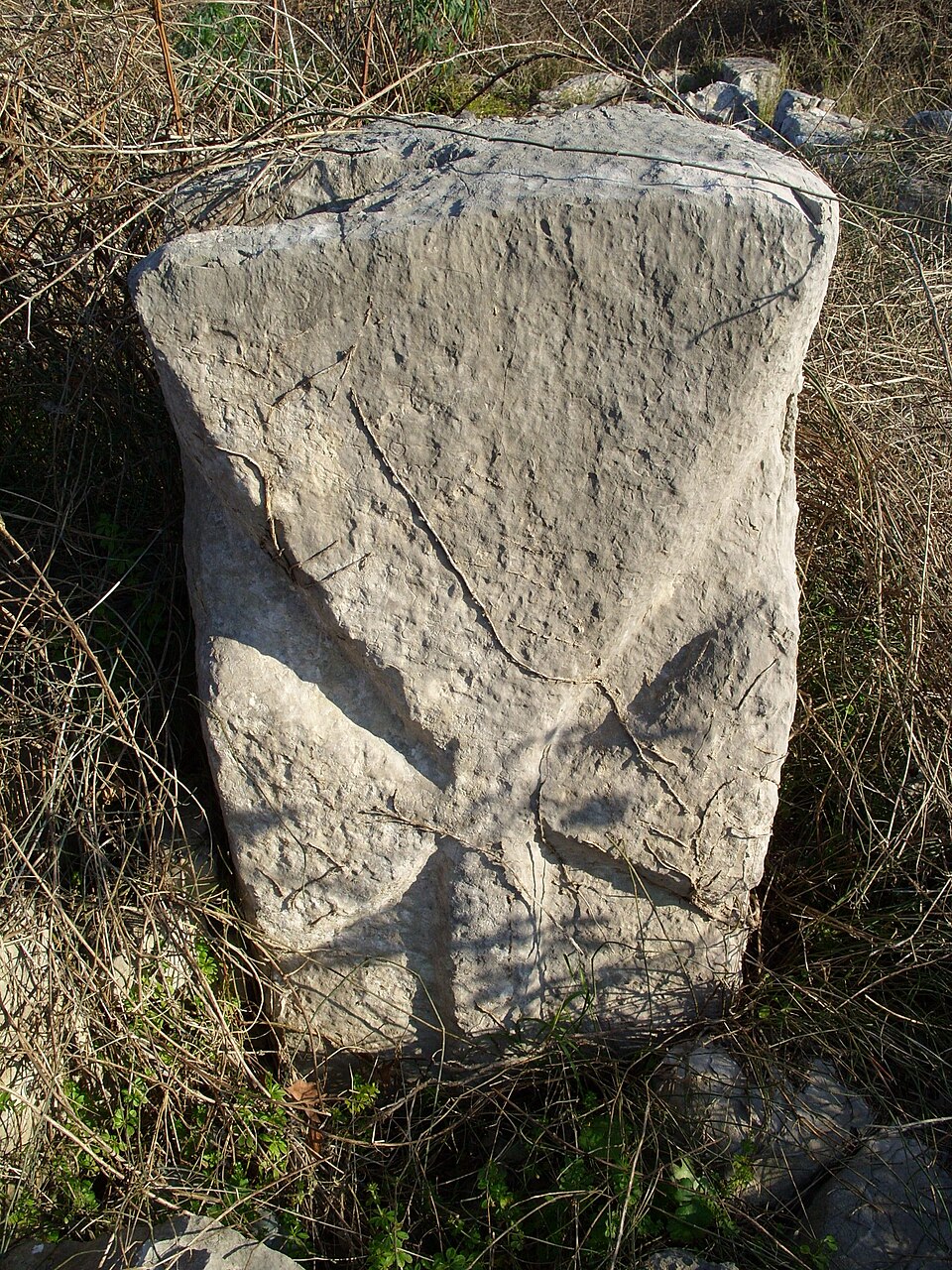 Dimitrije Sergejevski