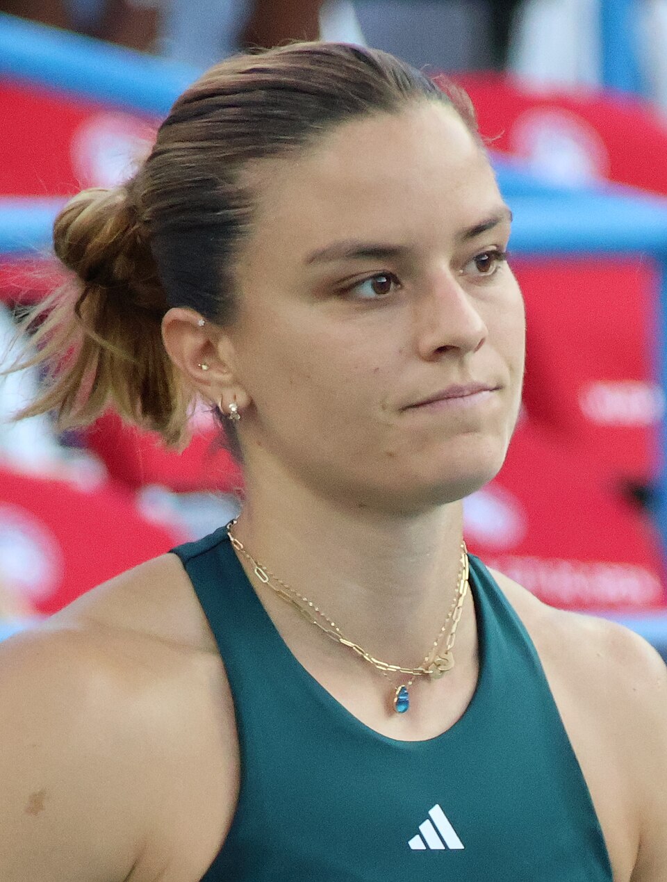 Dimitris Kanellopoulos