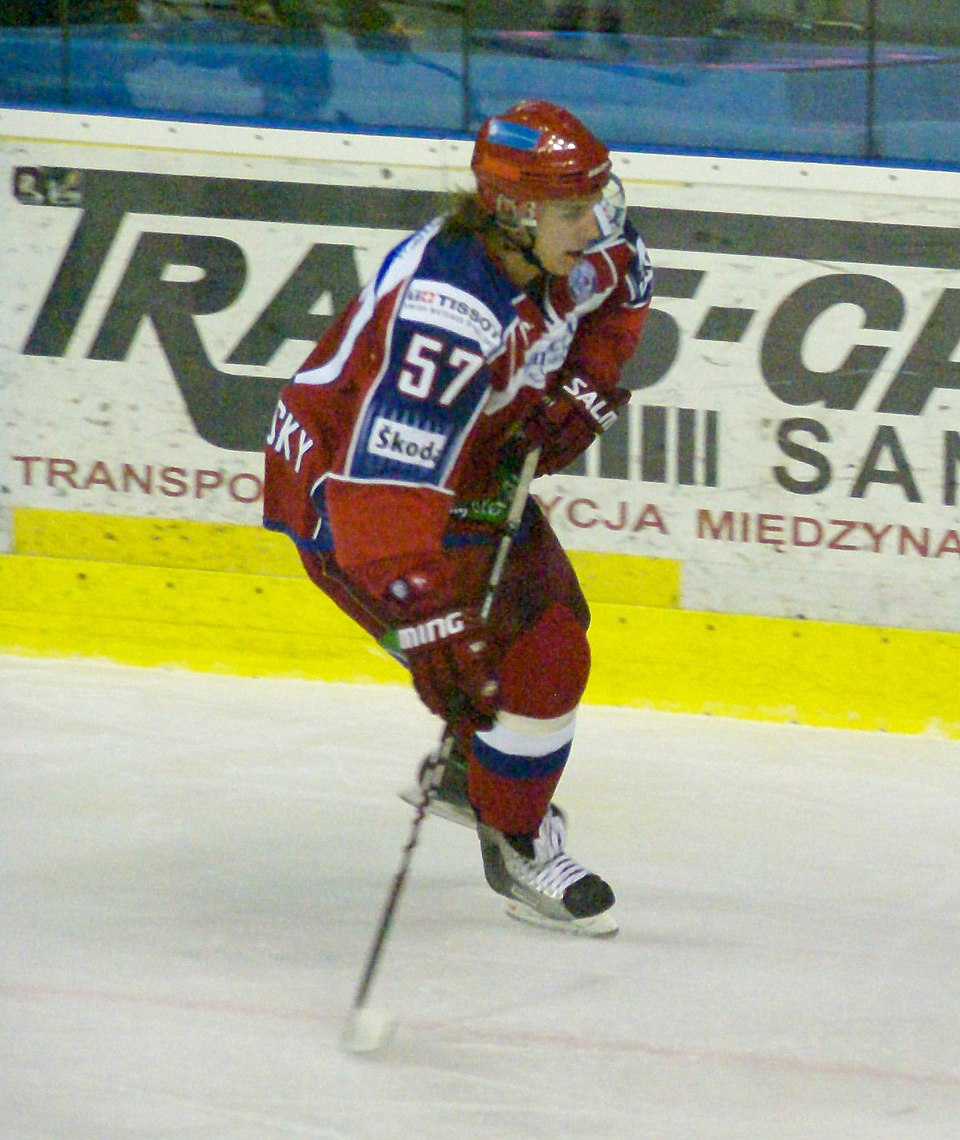 Dmitry Vishnevsky