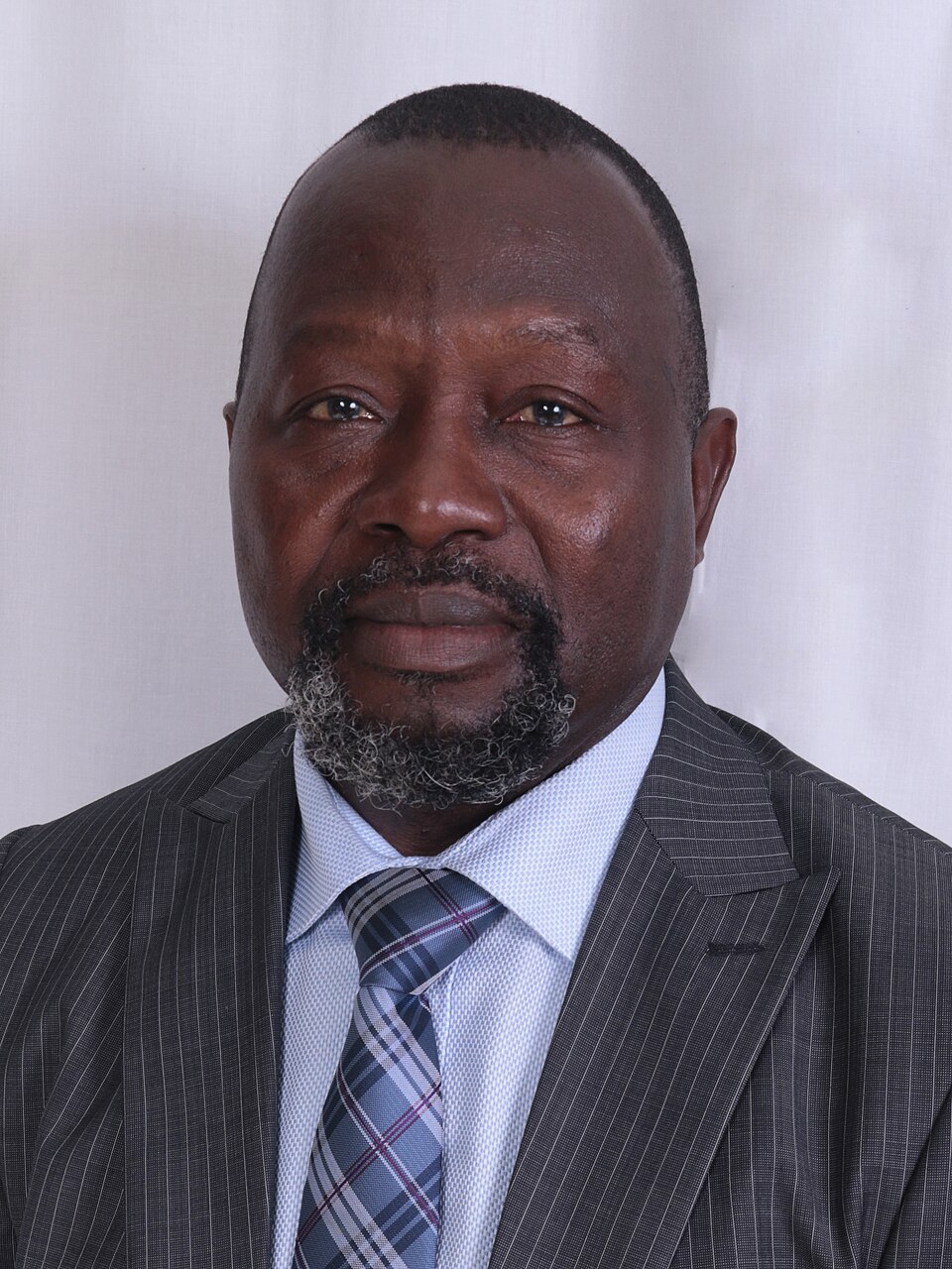 Dominic A. Ayine