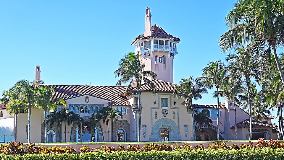 Donald Palm