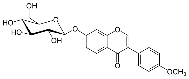Dong Xueyan