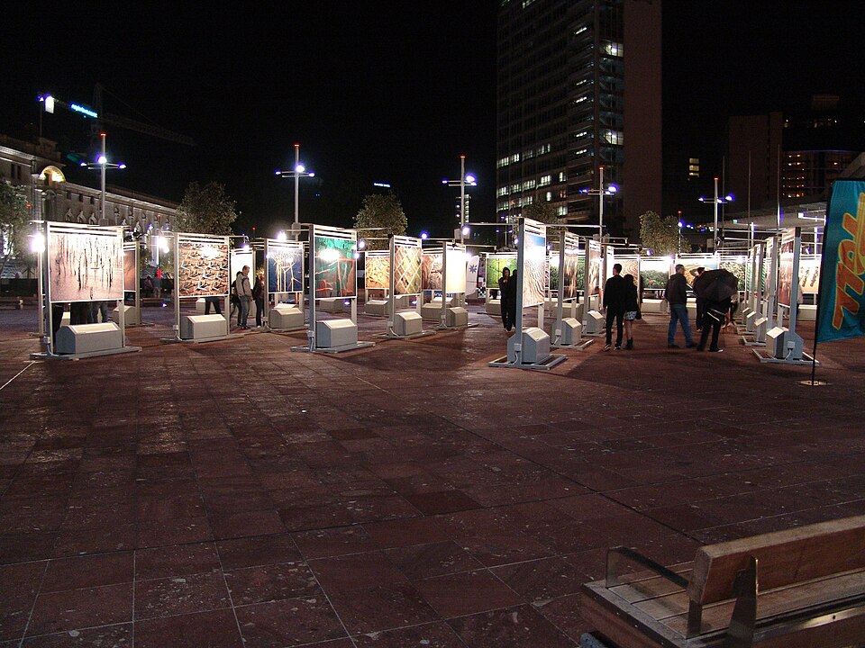 Dr Dushko Bogunovich