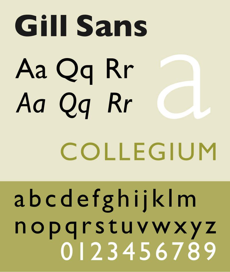 Dr. Rachael Gill