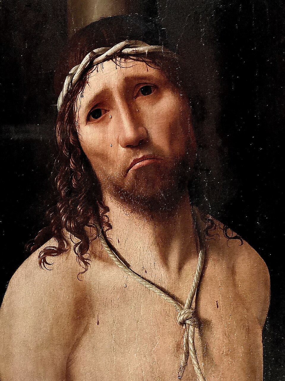 Dr. Walter H. Persaud