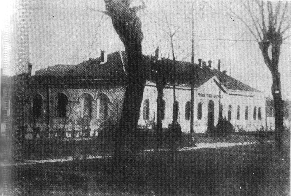 Draga Dimitrijević Mitrićević