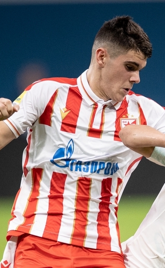 Dragan Nedeljkovic