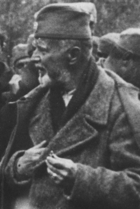 Dragiša Nikolić