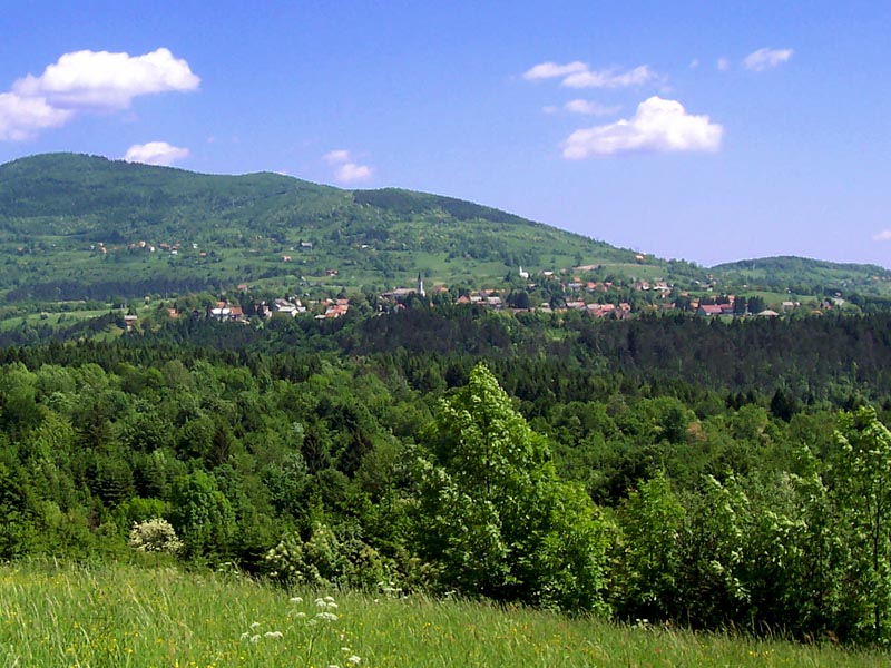 Dražen Mufić