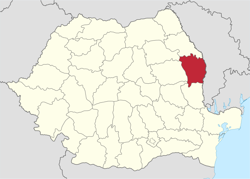 Dumitru Buzatu