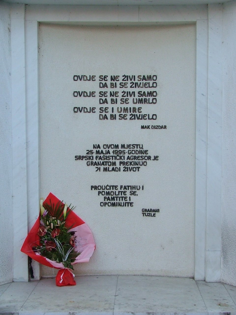 Dunja Damjanović
