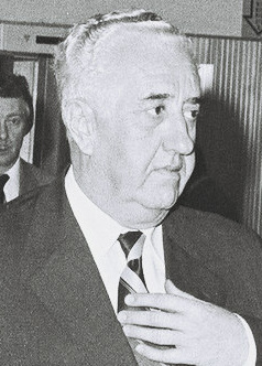 Dzemal Bijedic