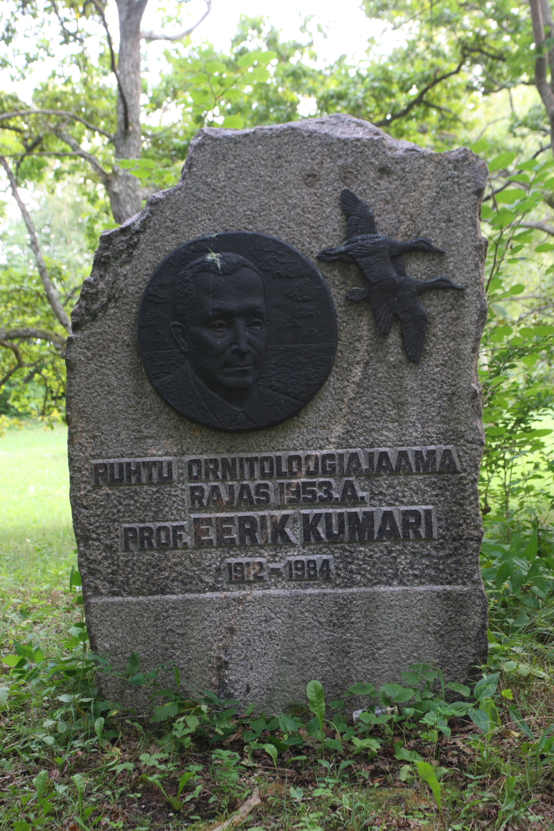 Eerik Kumari