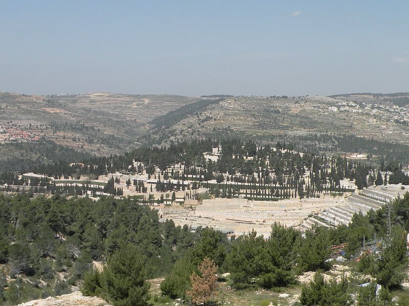 Elad Shaul
