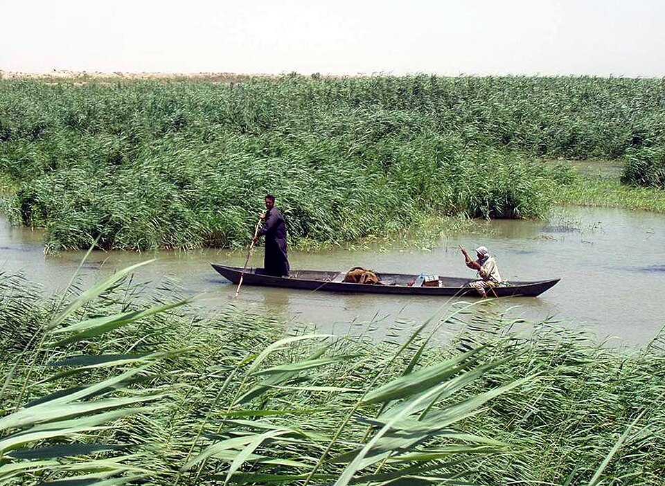 Elham Hosseinzadeh