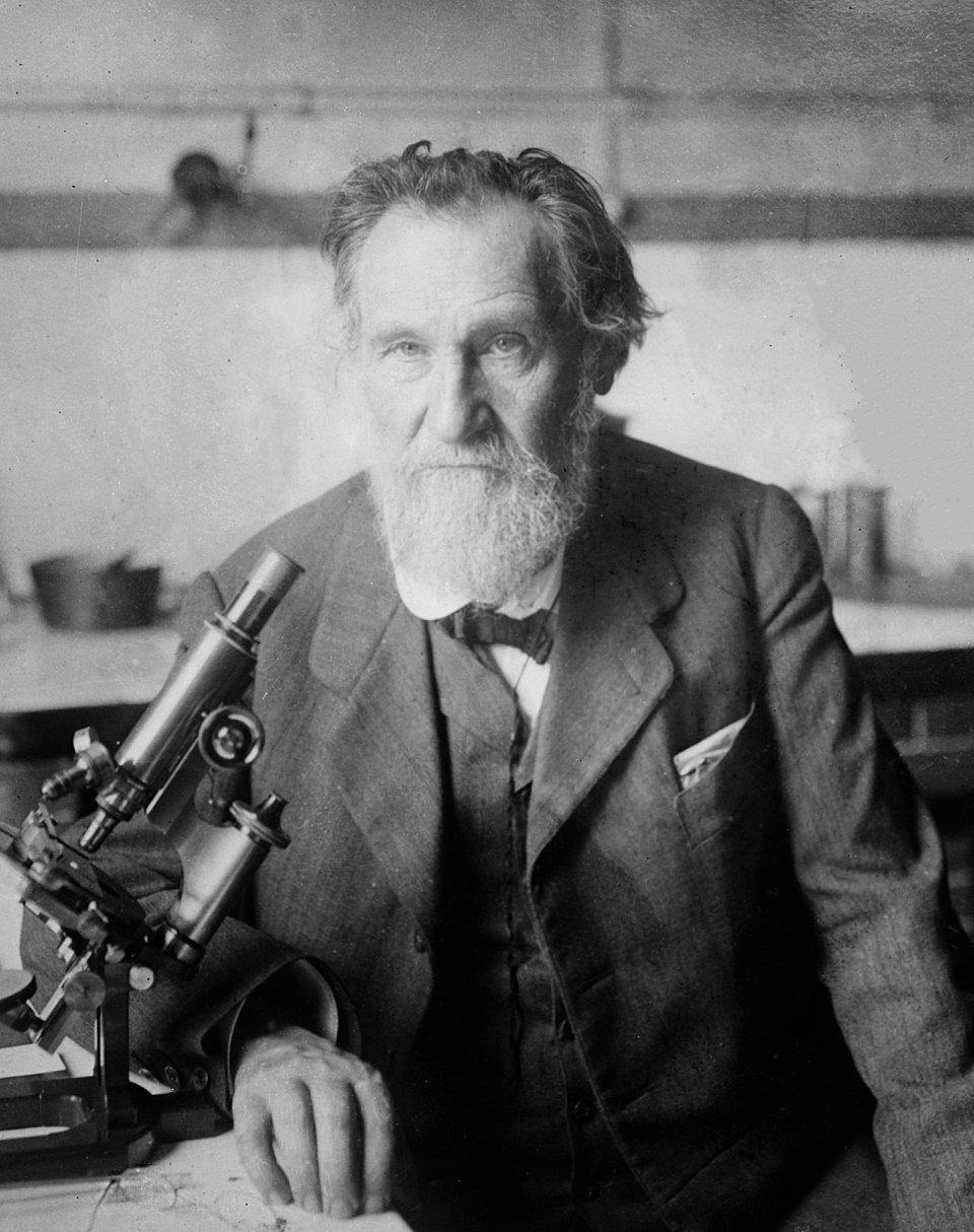 Elie Newman