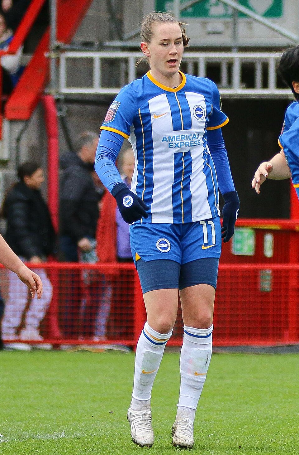 Elizabeth Terland