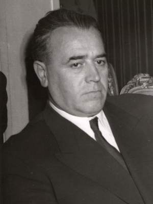 Ena Jevtić