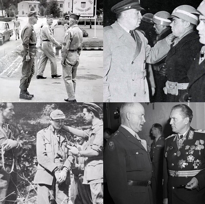 Enver Šišić